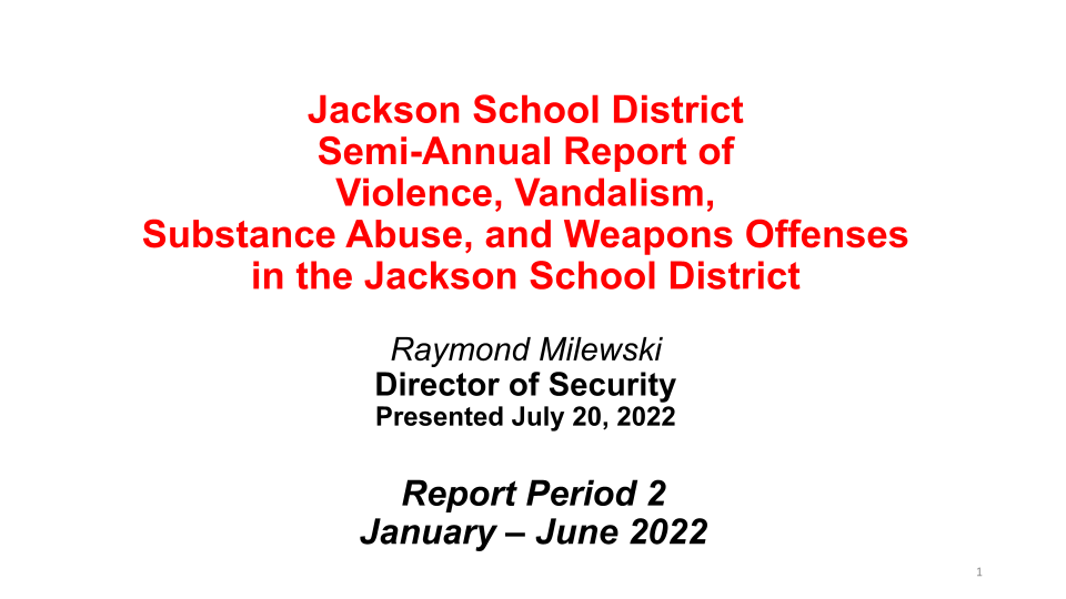 Violence and Vandalism report cover